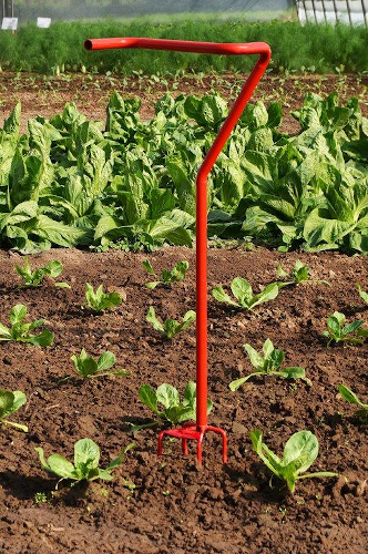 Griffe de jardin - Polet 4 dents