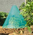 Green Starter 3 pi�ces � 25 cm - Acc�l�re la croissance des jeunes plantes en les prot�geant du froid et des intemp�ries. La temp�rature sous le chapeau est d�environ 5 �C sup�rieure � la temp�rature ext�rieure. La forme conique et l�ouverture au sommet mod�rent l�effet de serre. Se fixe au moyen des agrafes FIXSOL. R�siste aux UV. Hauteur: 30 cm.  D�tail