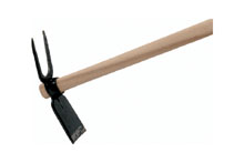 Sarcloret de jardin carr� - Plat, 2 dents, forg� d�une pi�ce, manche en fr�ne 140cm long.