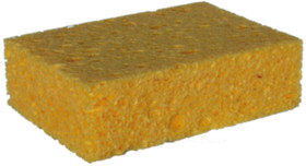 Eponge - 