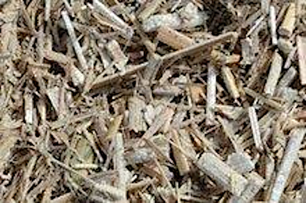 Paillis de roseaux  110l - 
